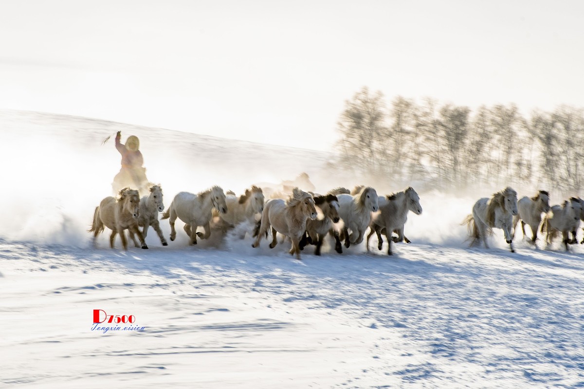 策马奔腾（73）