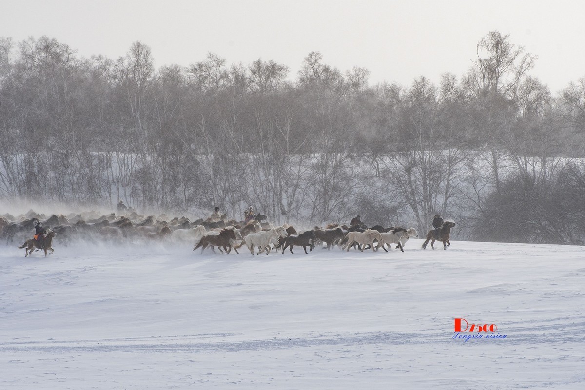 策马奔腾（73）