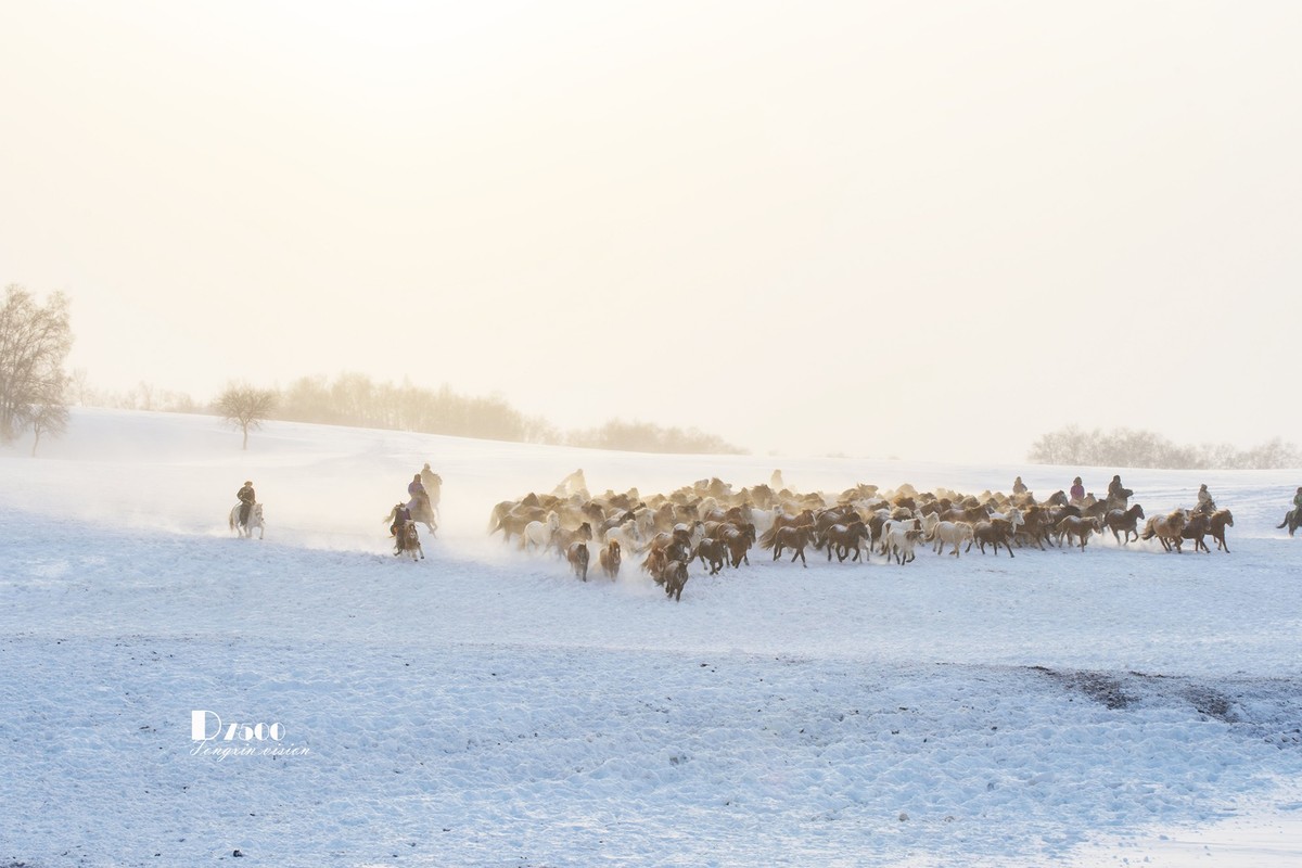 策马奔腾（73）