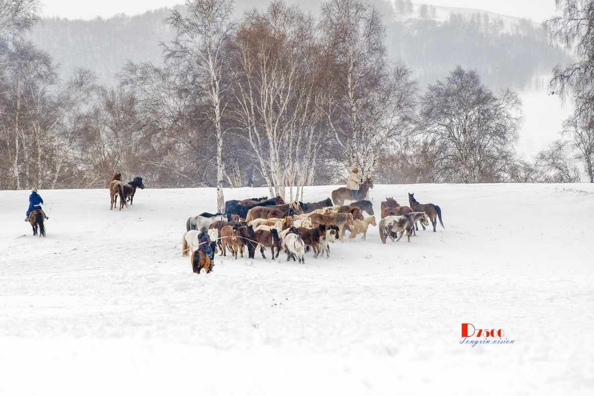 策马奔腾（73）