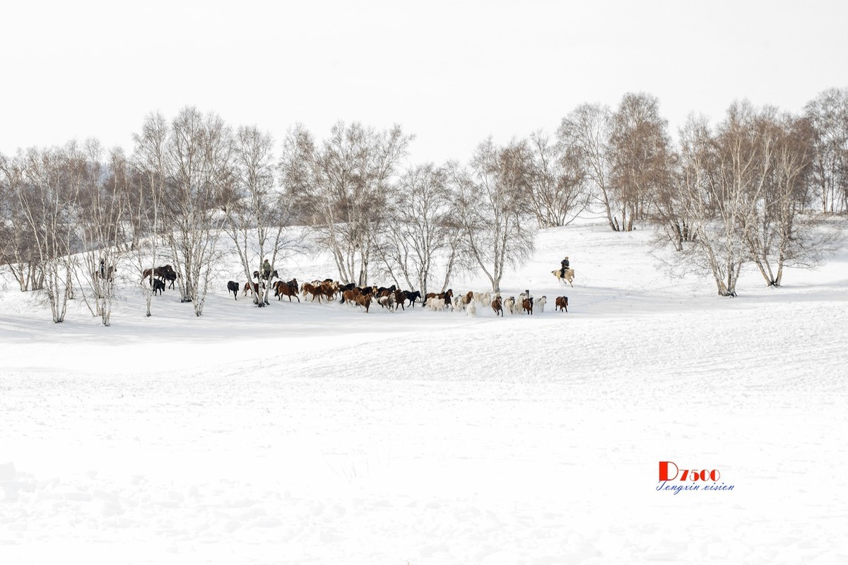 策马奔腾（73）