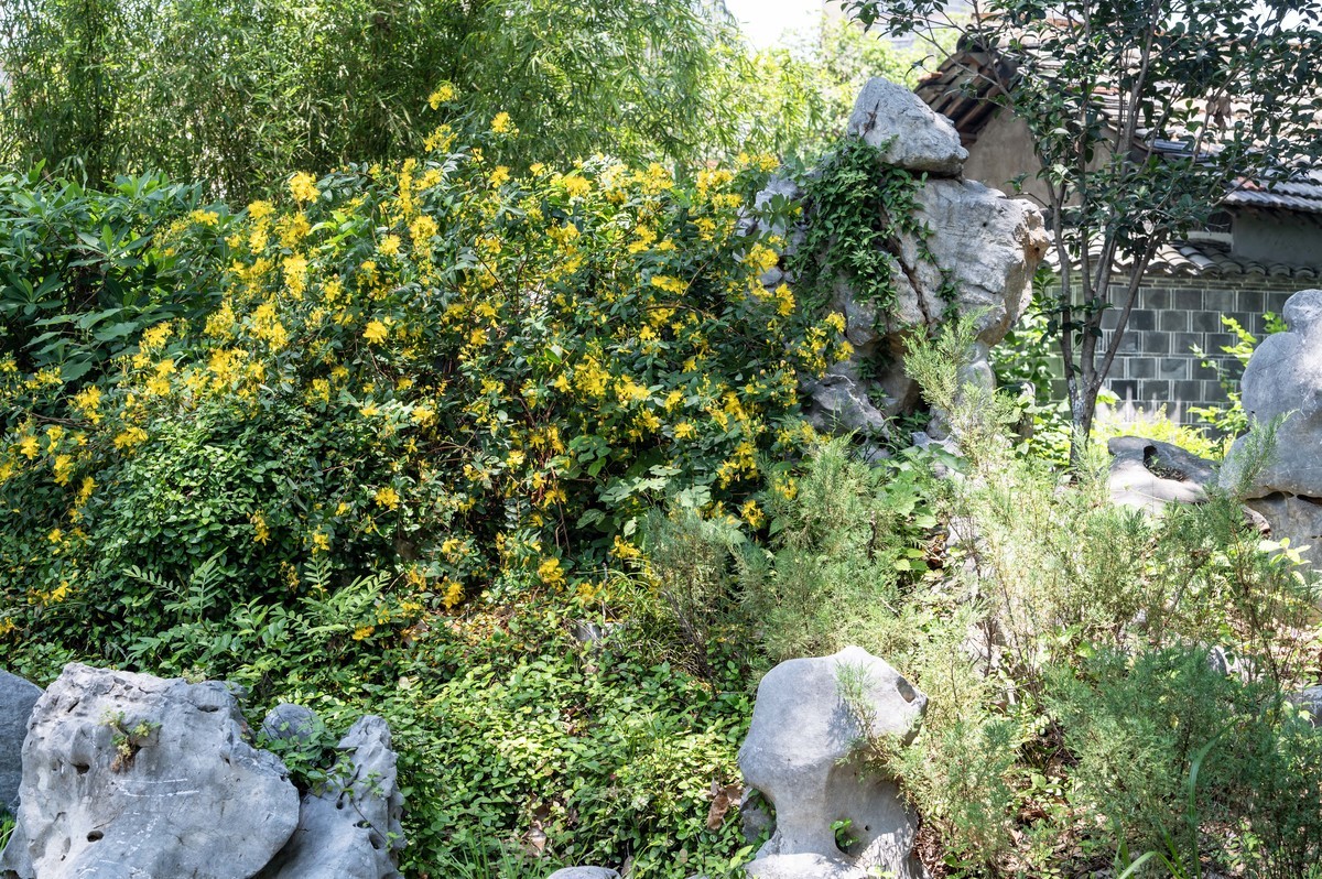 庐州印象（469）方以智故居