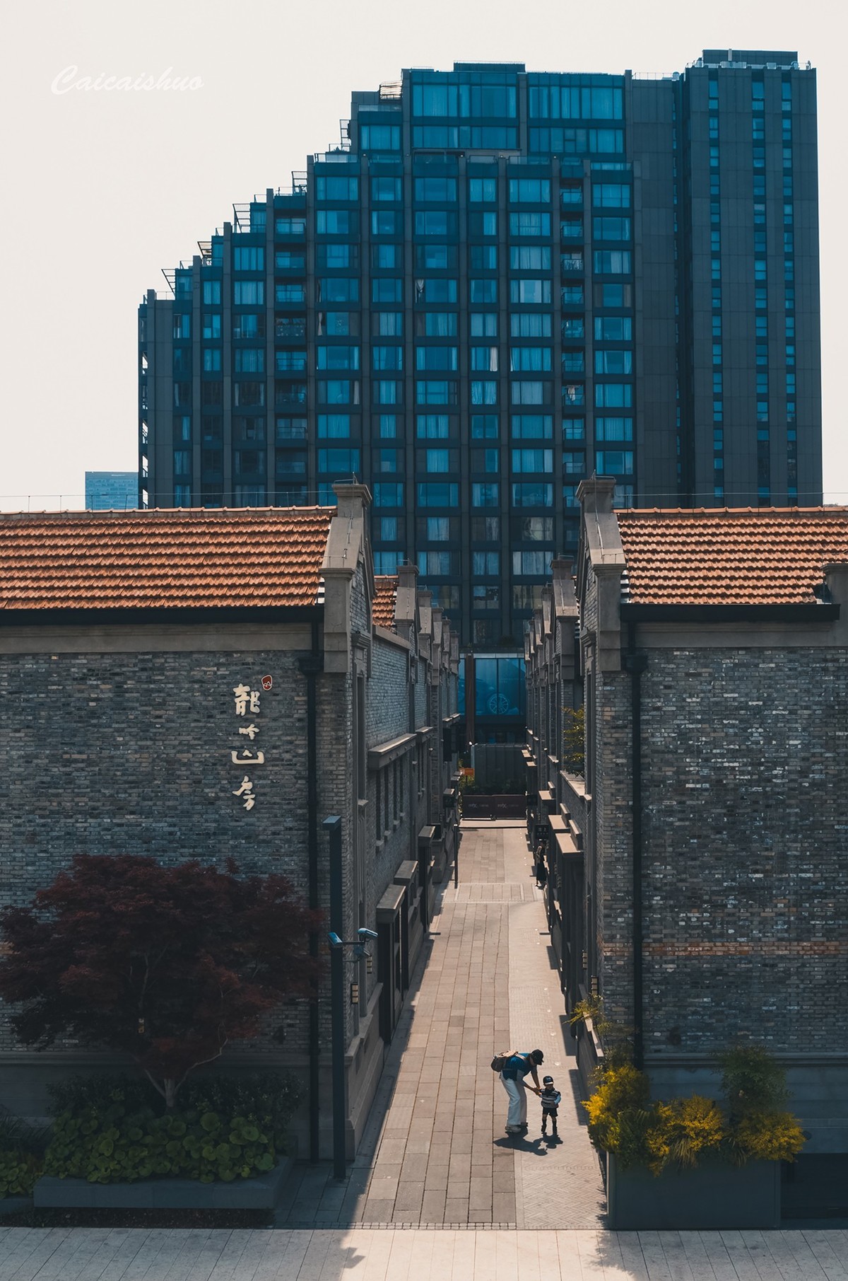 【菜々手摄影】苏州河沿岸纪实