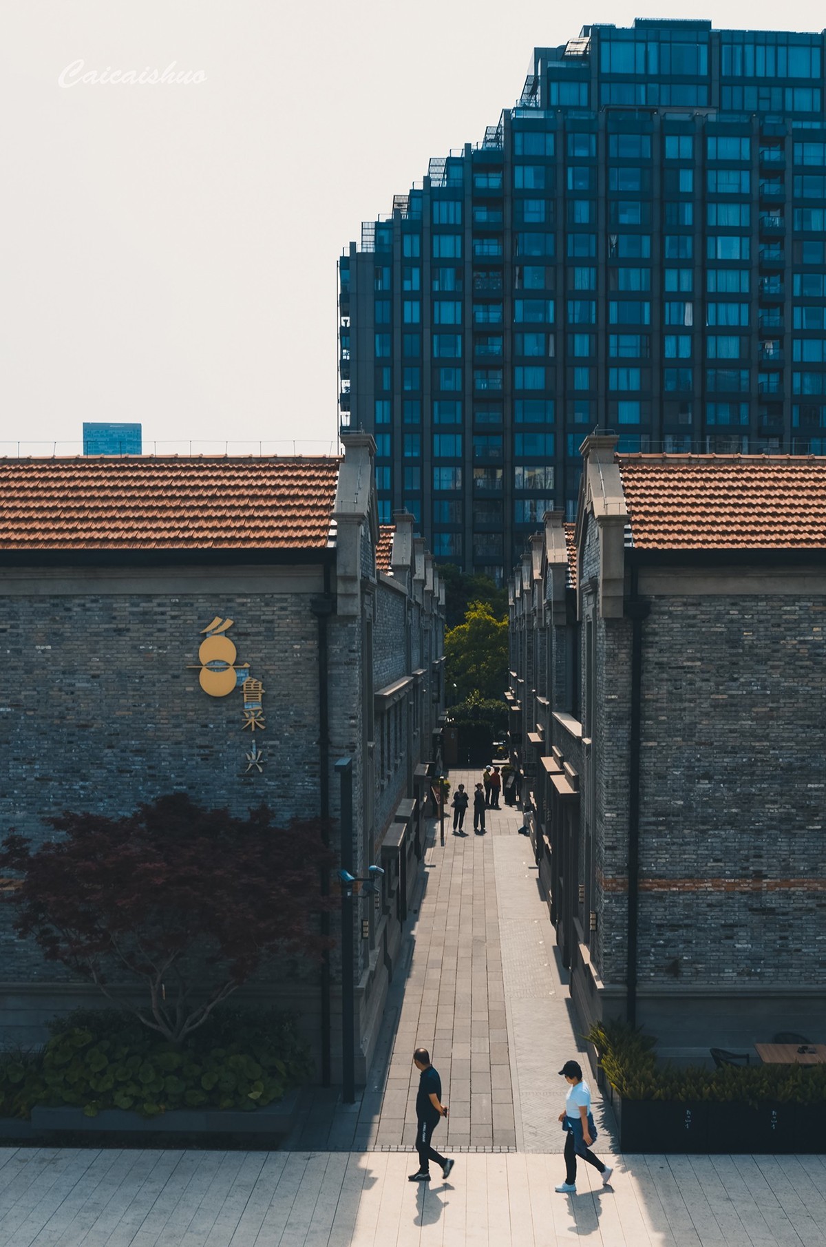 【菜々手摄影】苏州河沿岸纪实