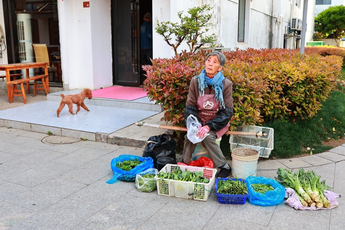 古镇随拍 ------ 3