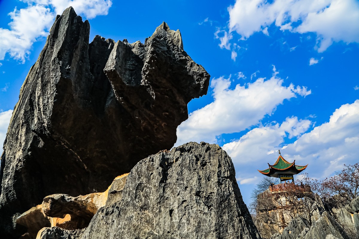 我眼中的石林景区（二）