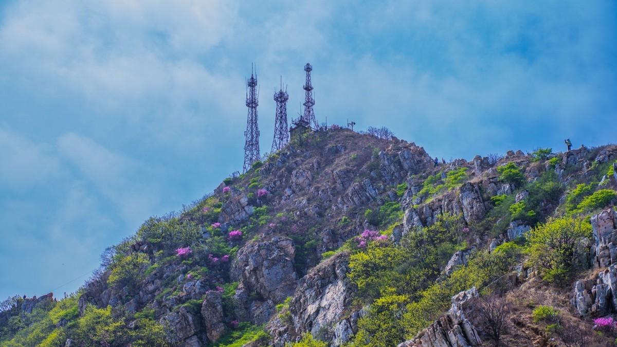 大 黑 山 上 杜 鹃 红 （ 二 ）
