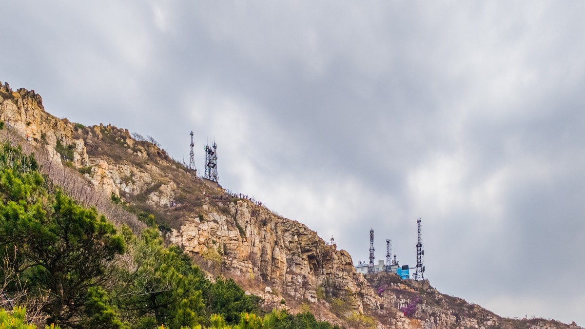 大 黑 山 上 杜 鹃 红 （ 二 ）