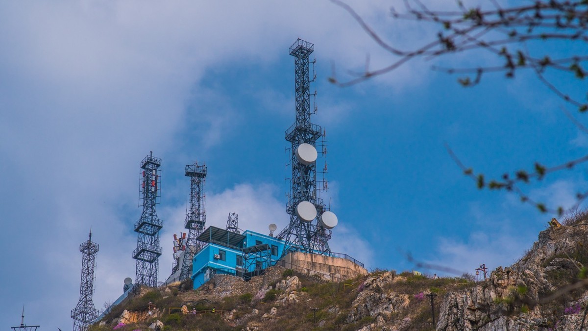 大 黑 山 上 杜 鹃 红 （ 二 ）