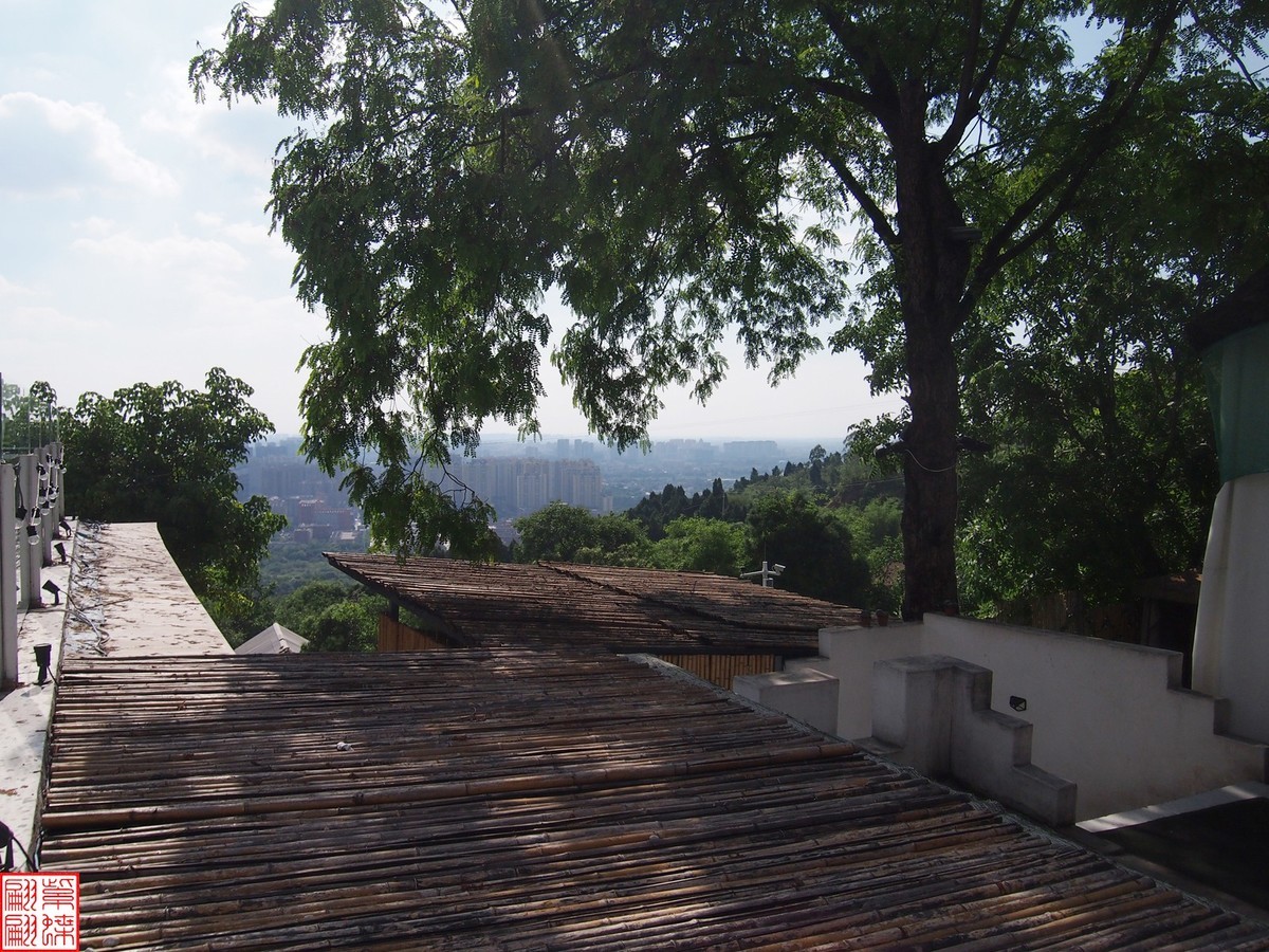 金堂半山归墅(1)