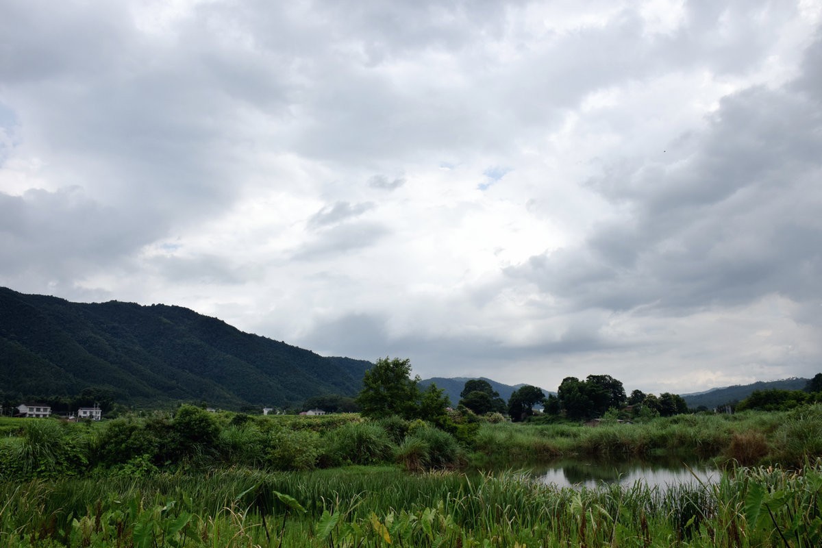 漫步星城 走街串巷（287）寻觅空中玻璃