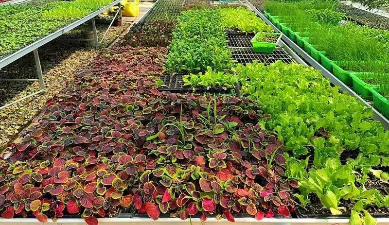 G03【不老松：纪实摄影】高绿科技智慧农业园！(09)