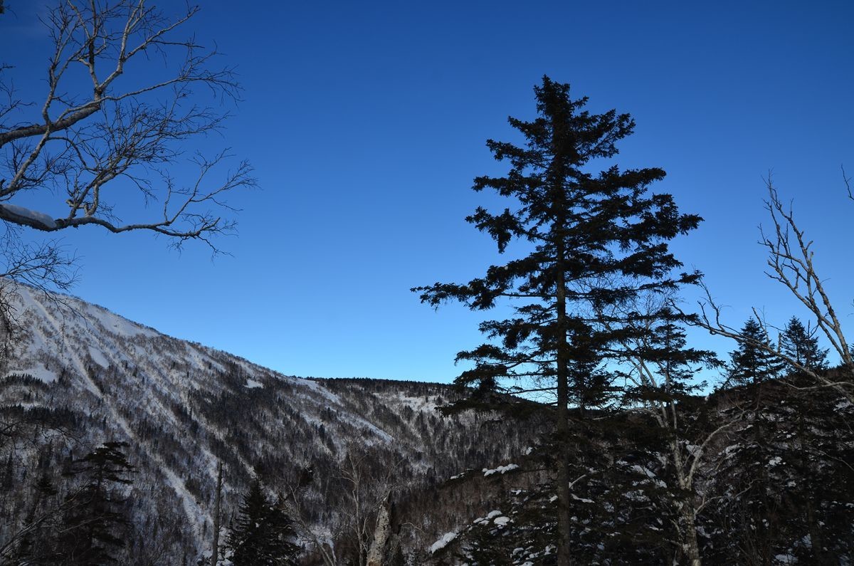 亚布力——二浪河子雪乡游拍（4）