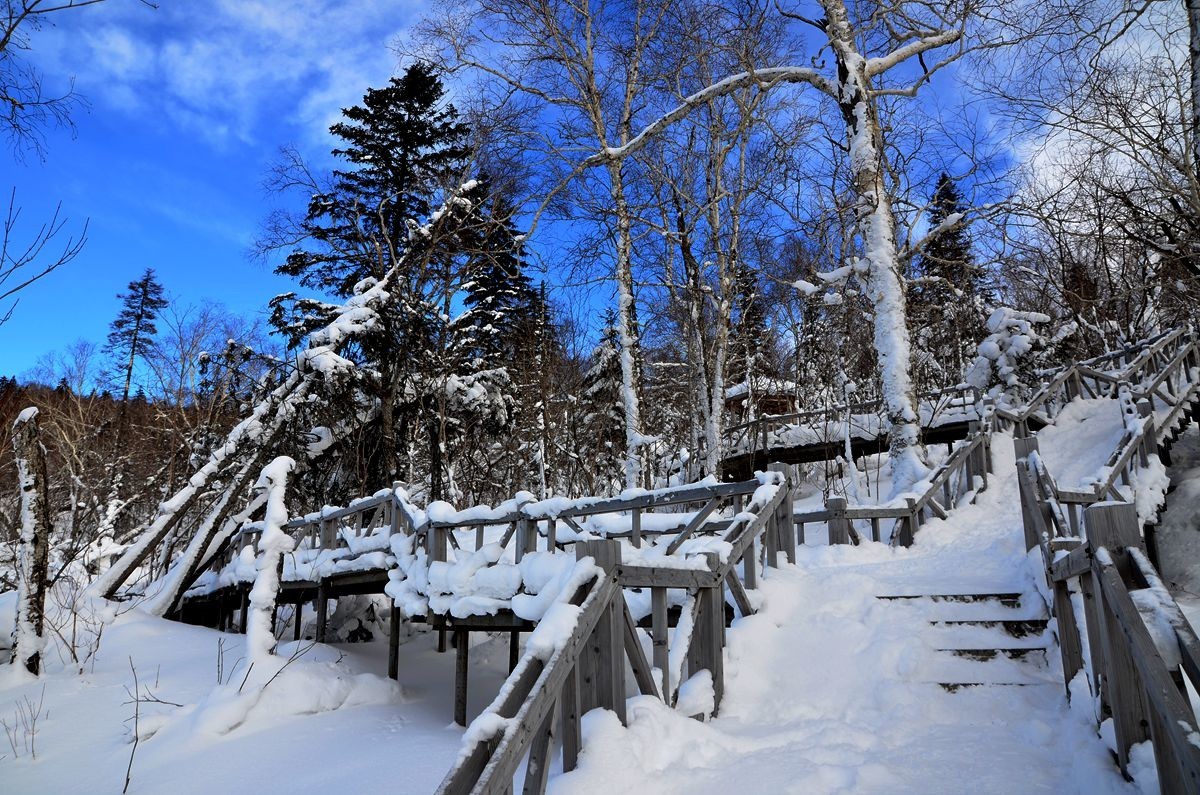 亚布力——二浪河子雪乡游拍（4）