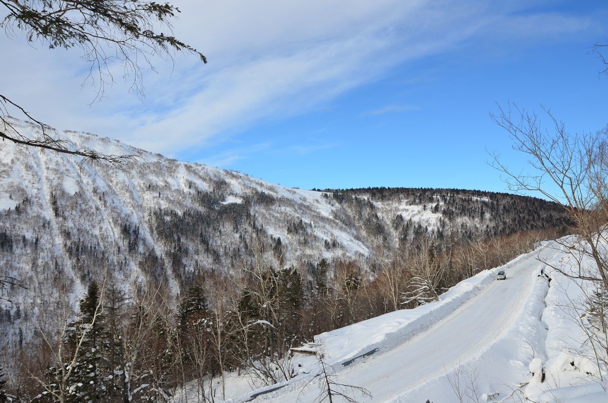 亚布力——二浪河子雪乡游拍（4）