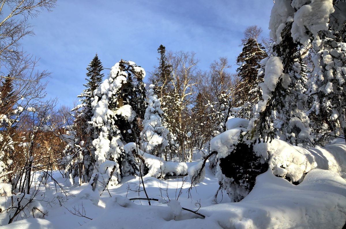 亚布力——二浪河子雪乡游拍（4）