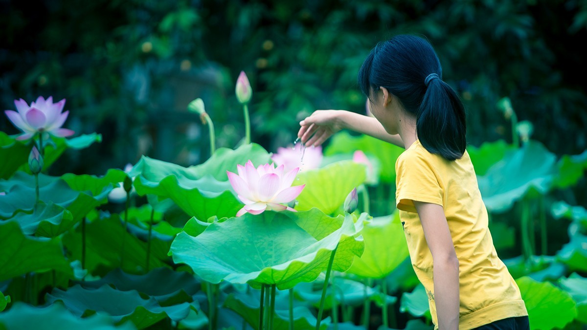 池塘乱拍！！！！！！！！