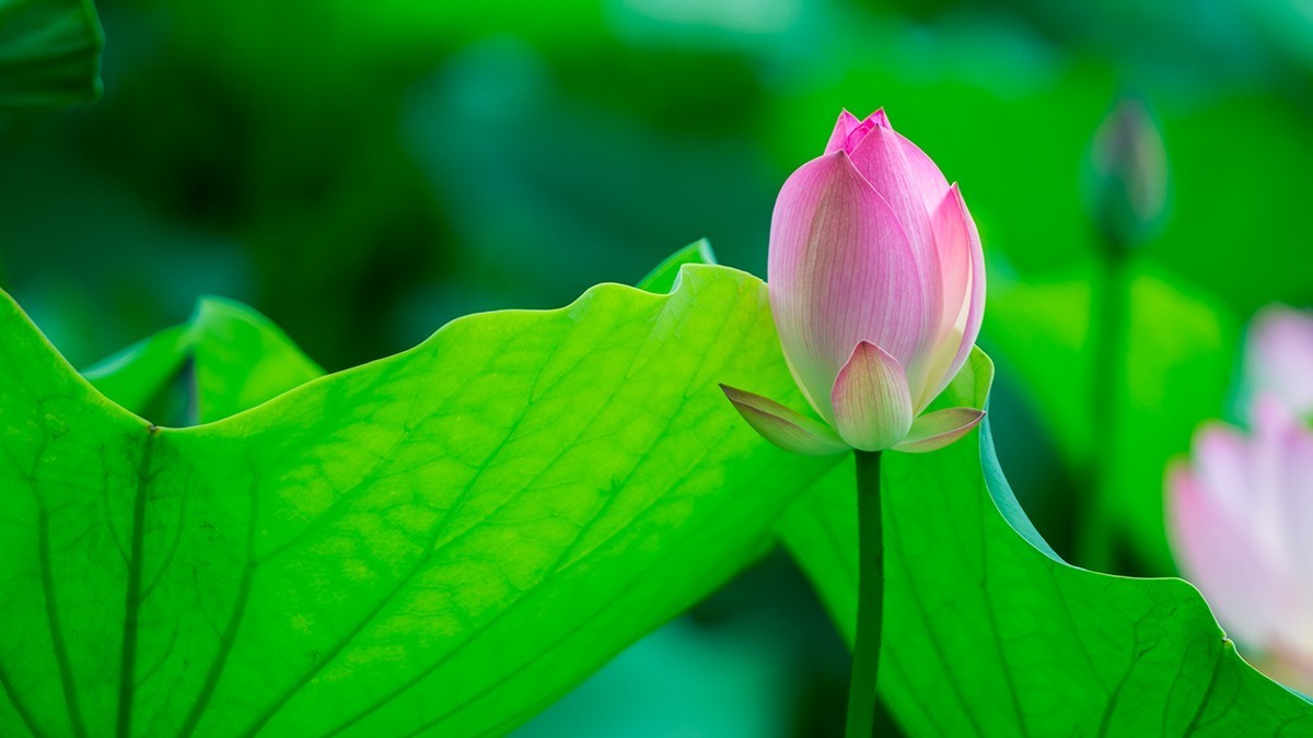 池塘乱拍！！！！！！！！