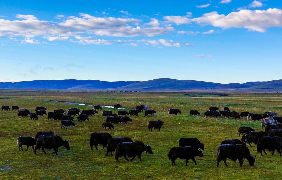 走川西的路上随拍（二）