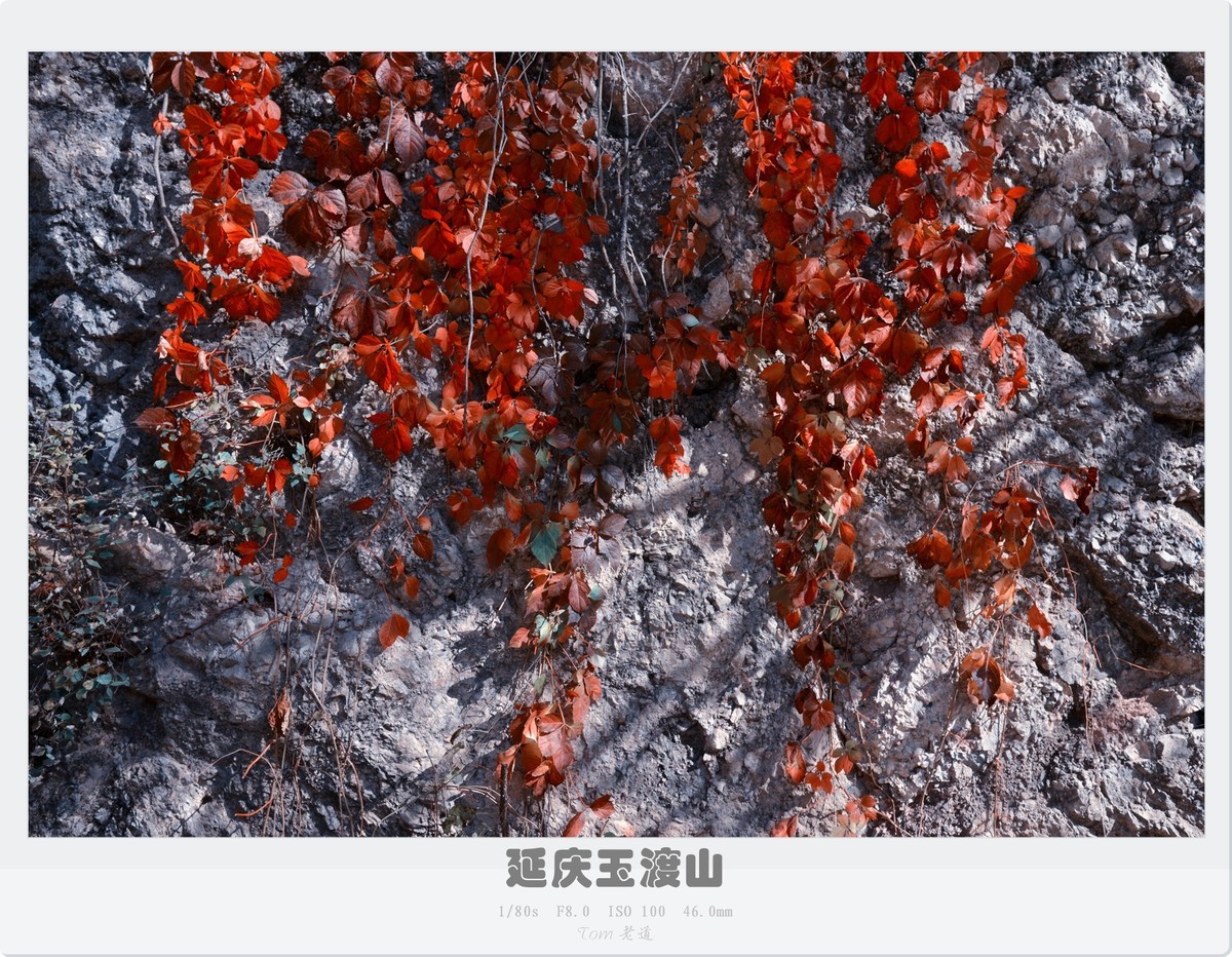 延庆玉渡山斑斓秋色