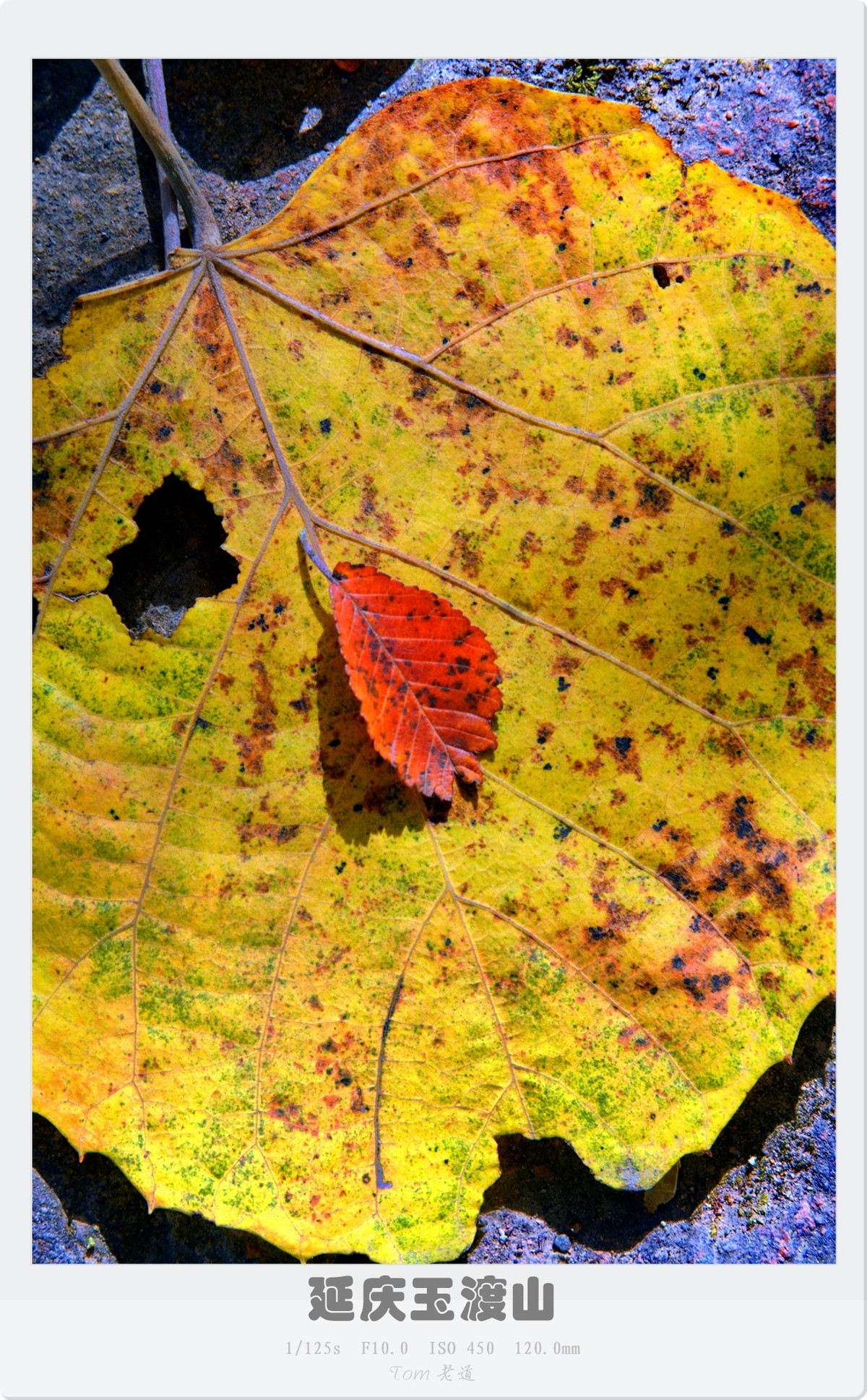 延庆玉渡山斑斓秋色