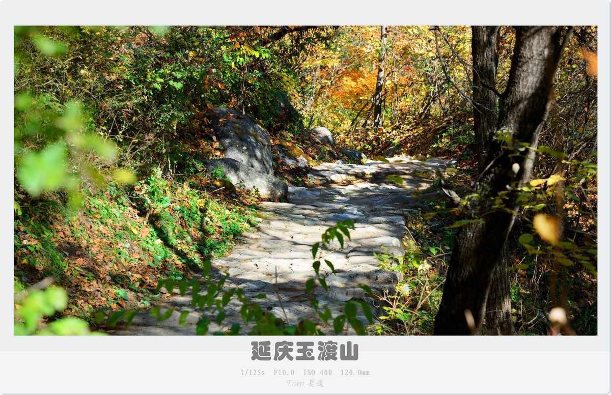 延庆玉渡山斑斓秋色