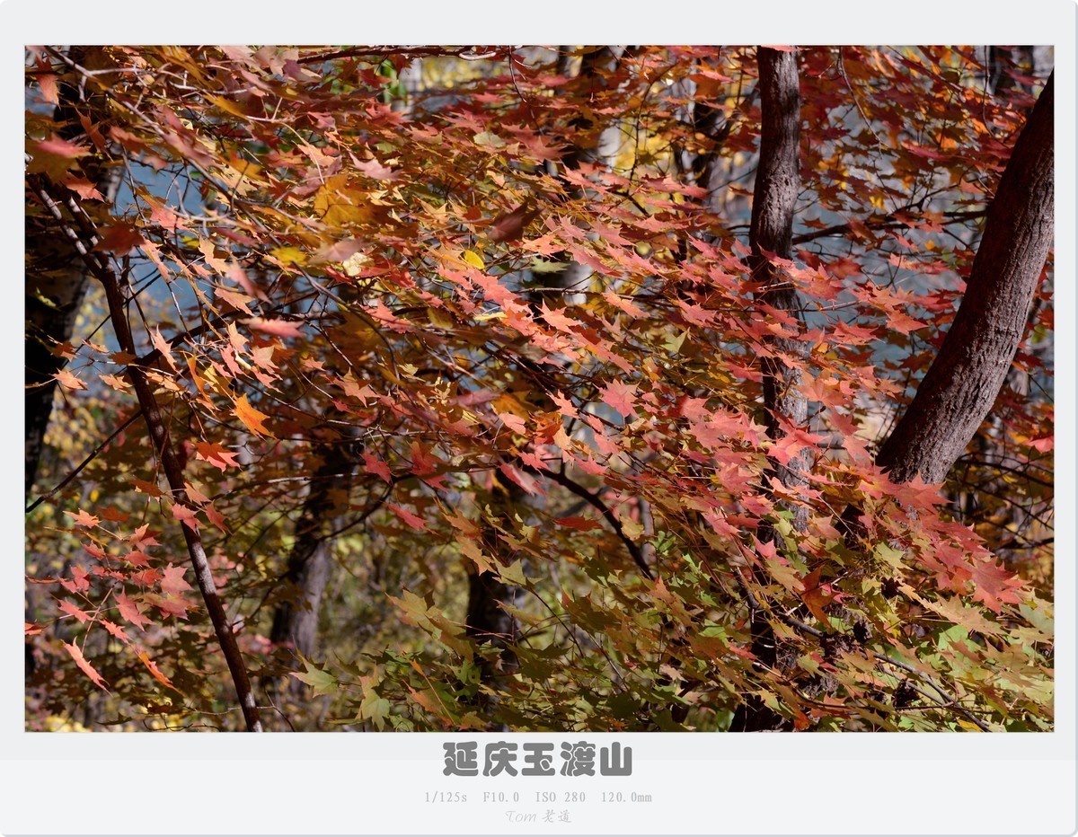 延庆玉渡山斑斓秋色