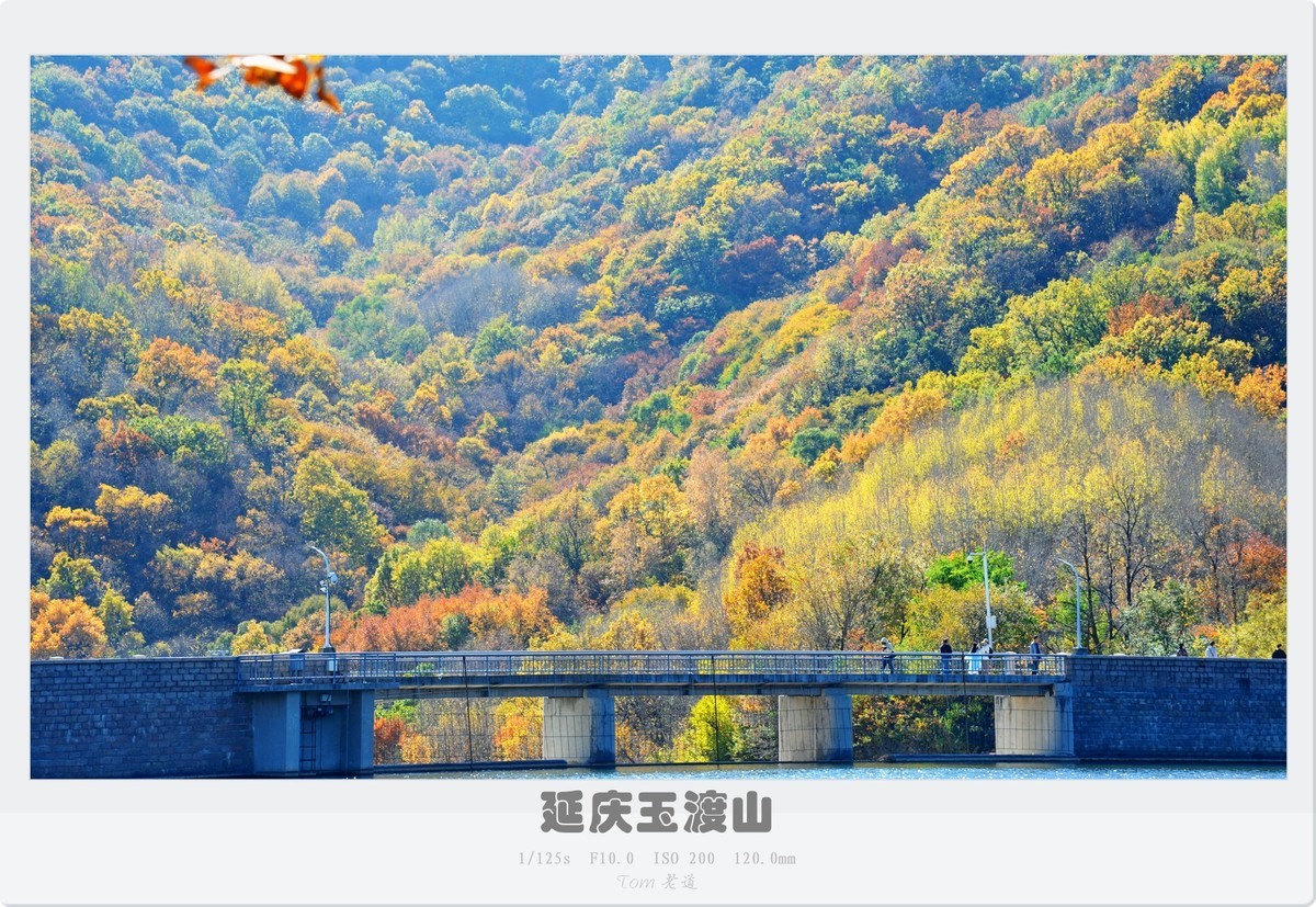 延庆玉渡山斑斓秋色