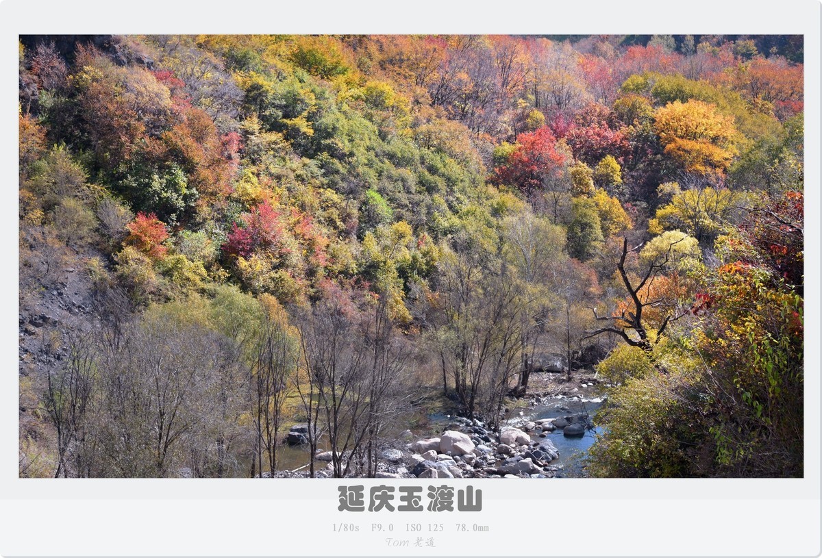 延庆玉渡山斑斓秋色