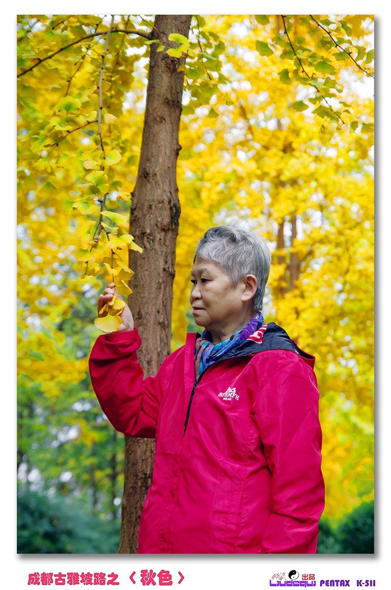 古雅坡路之〈秋色〉