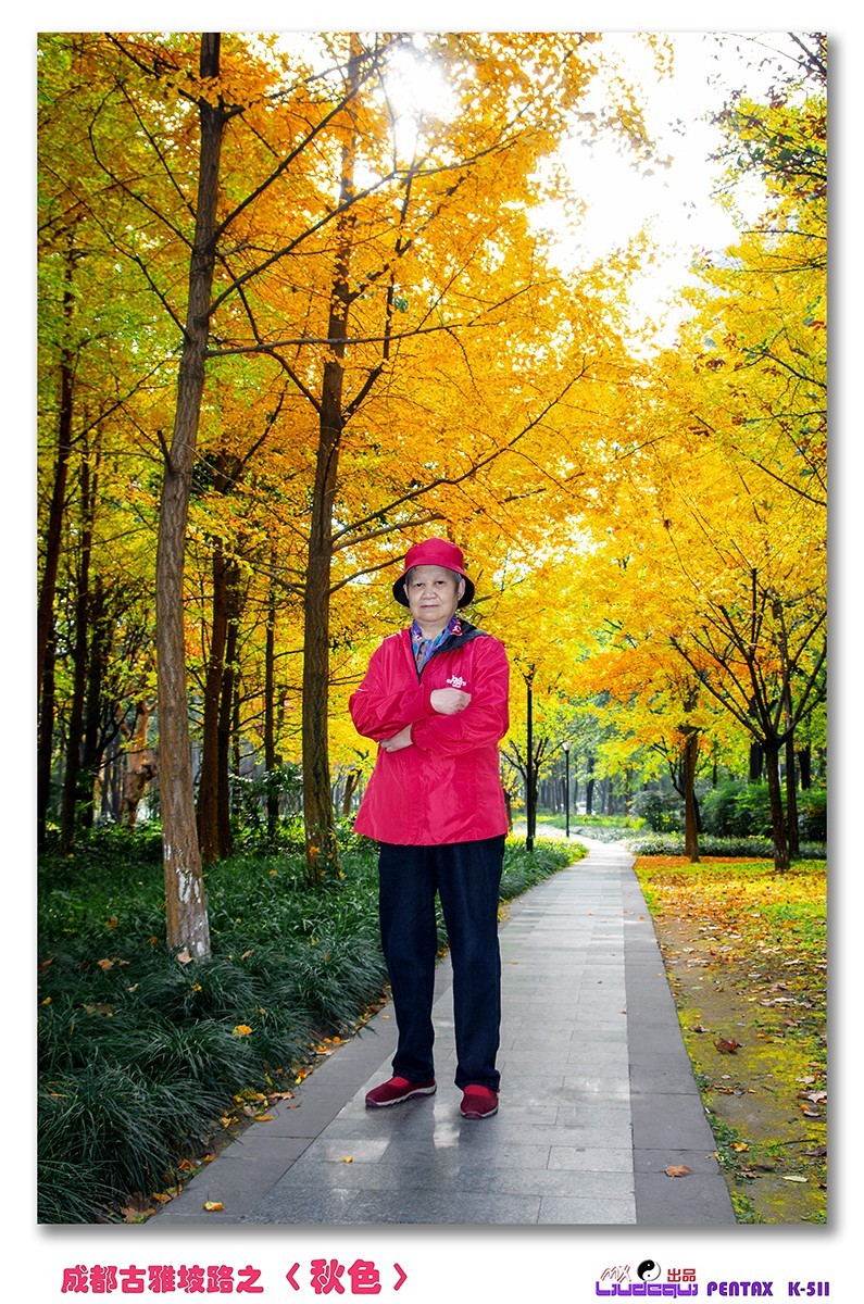 古雅坡路之〈秋色〉