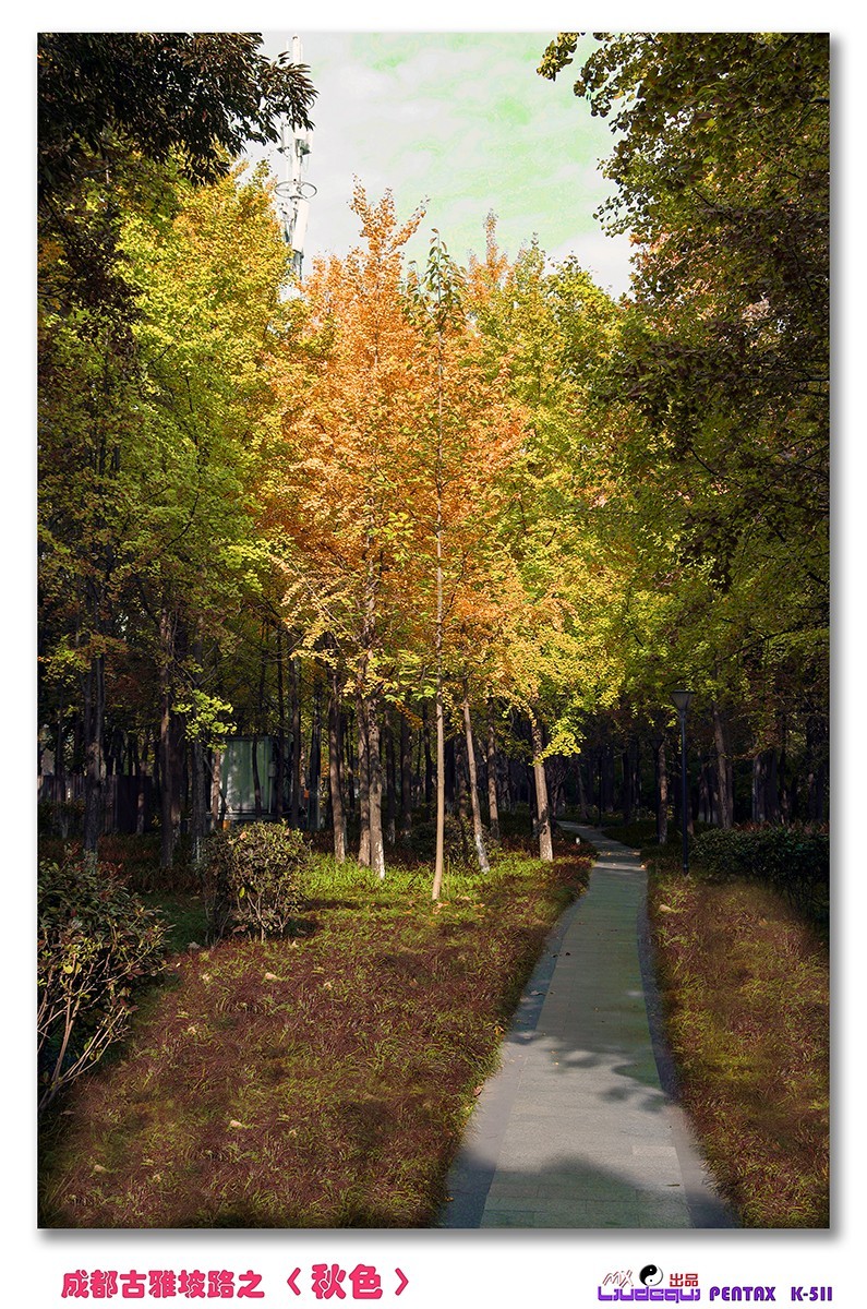 古雅坡路之〈秋色〉
