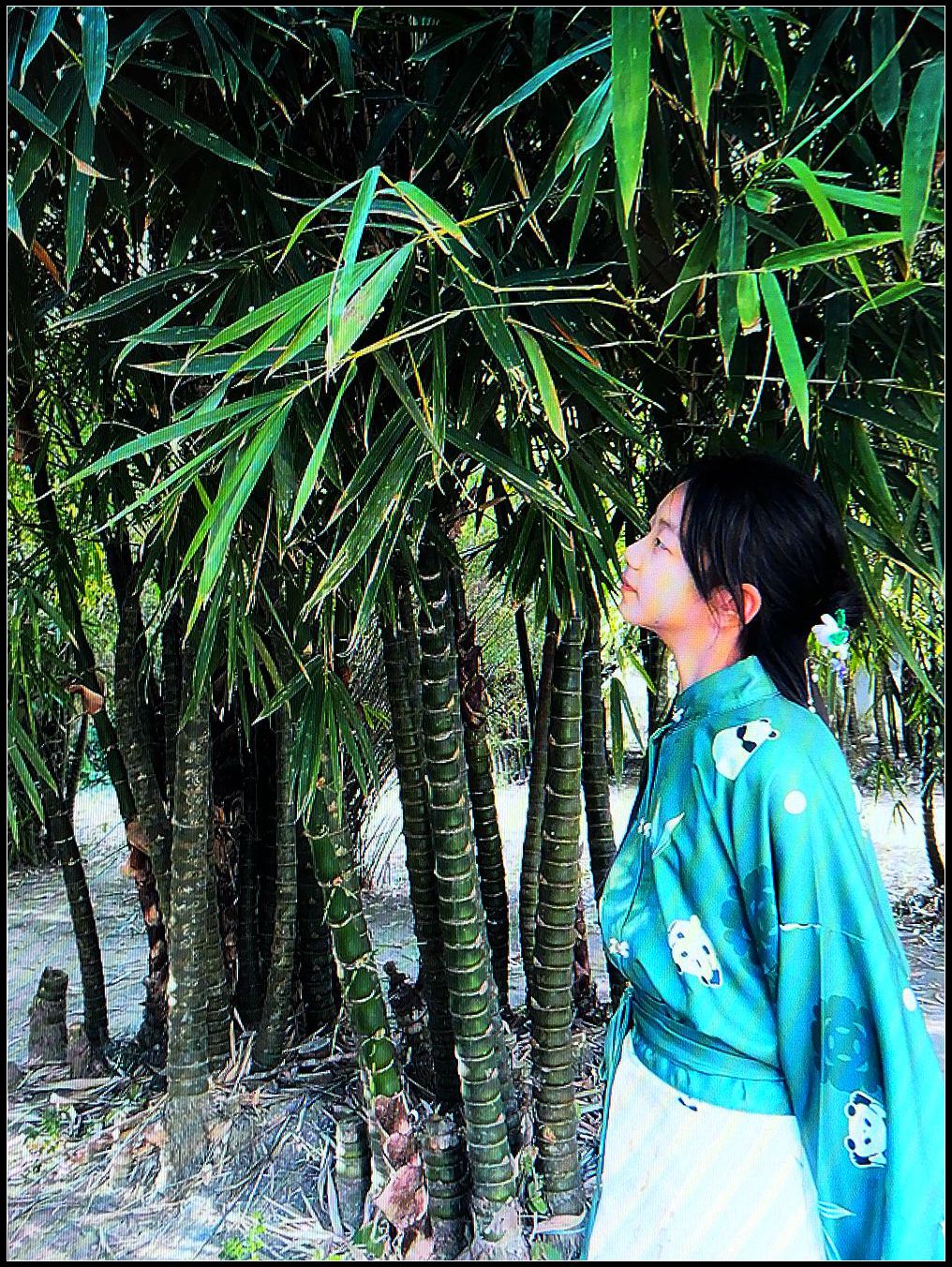 小美女——昵昵（5）