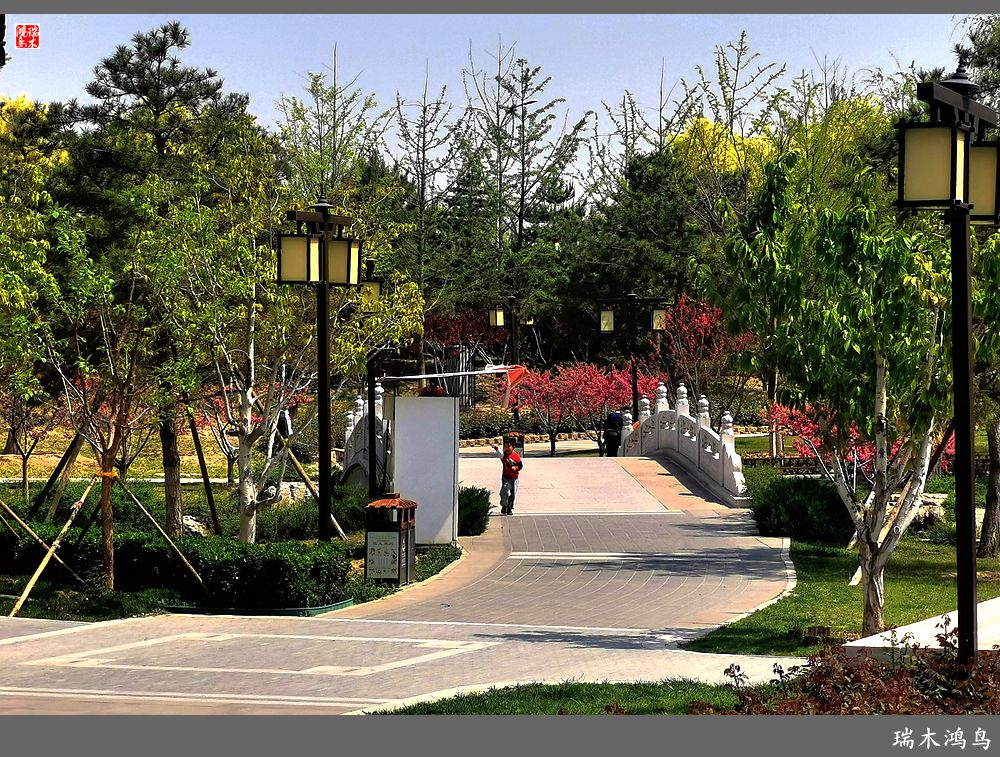 【说古话今大运河】西海子春色