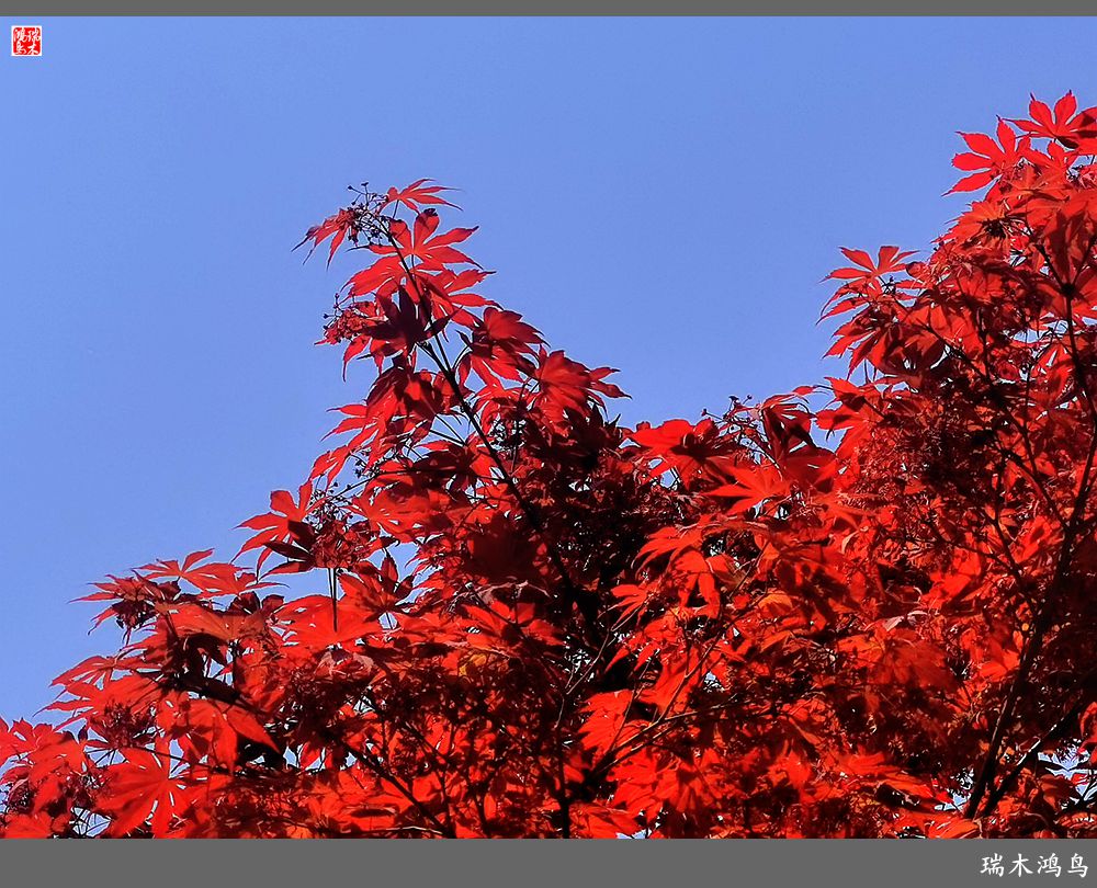 【说古话今大运河】西海子春色