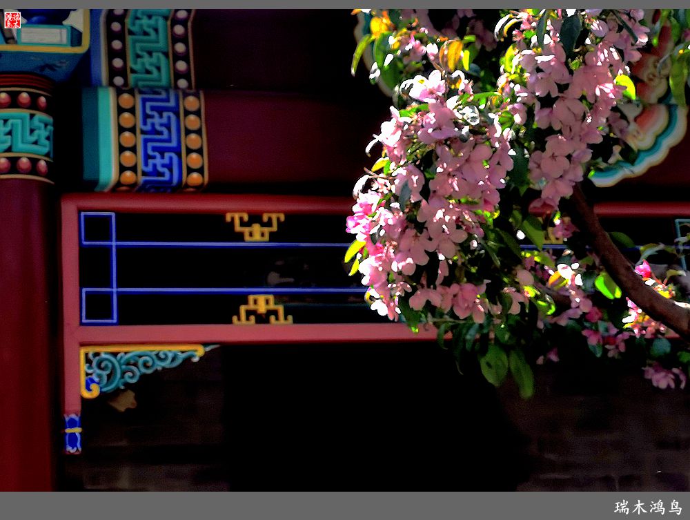 【说古话今大运河】西海子春色