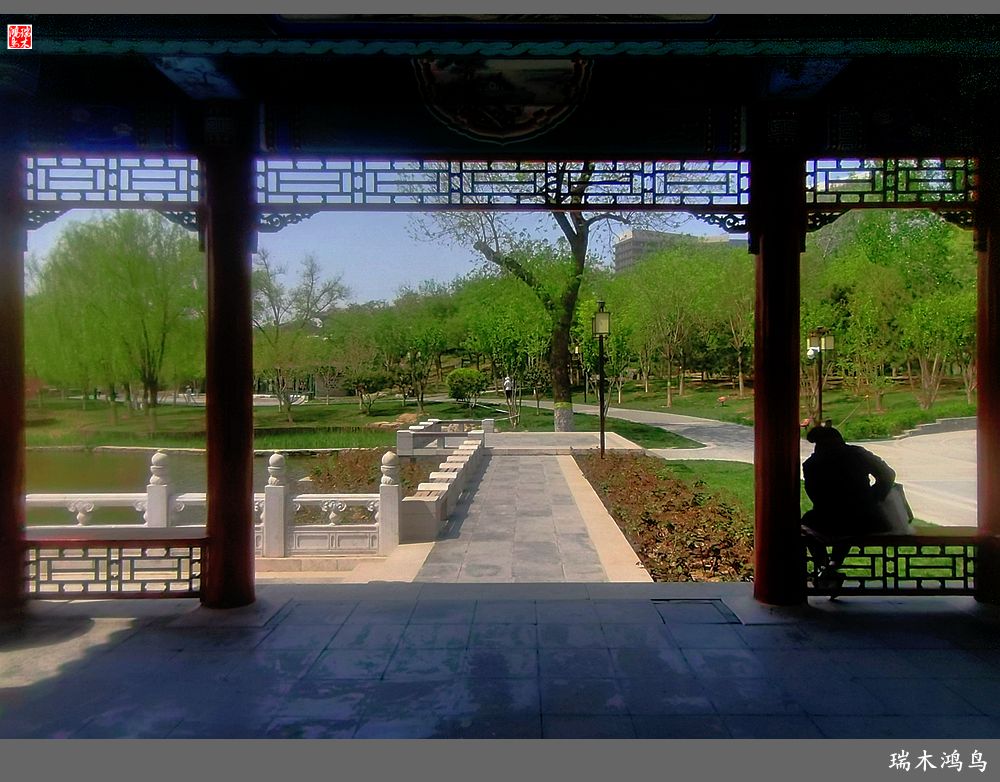 【说古话今大运河】西海子春色