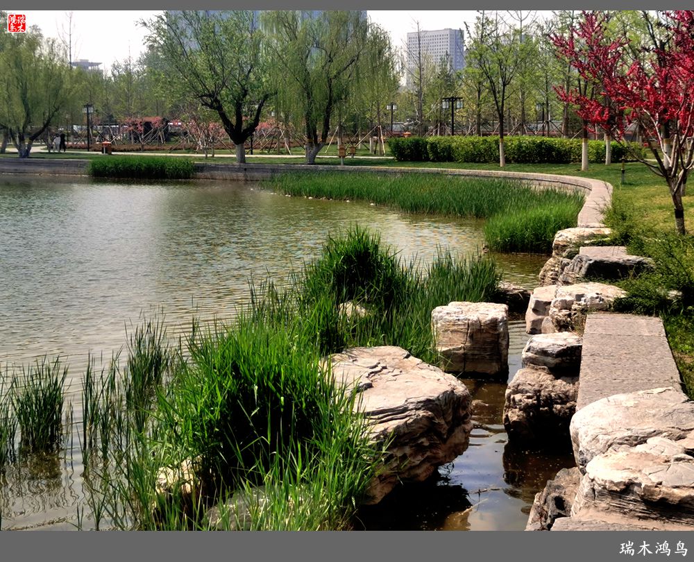 【说古话今大运河】西海子春色