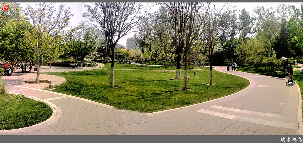 【说古话今大运河】西海子春色