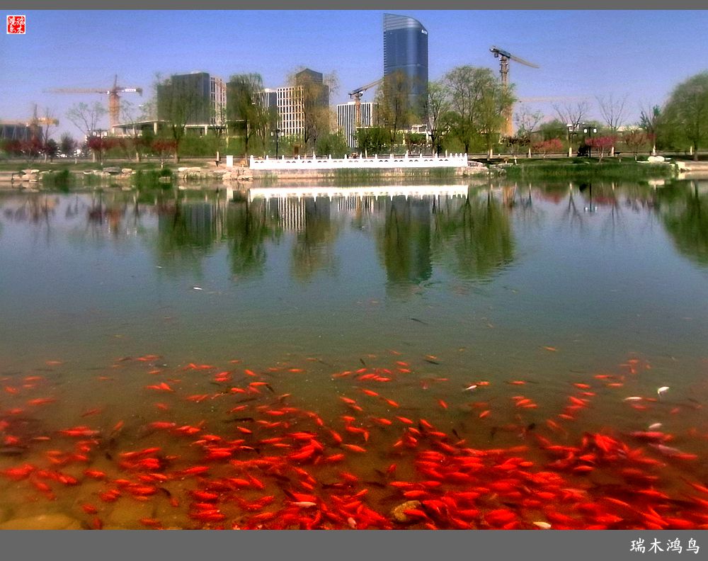 【说古话今大运河】西海子春色