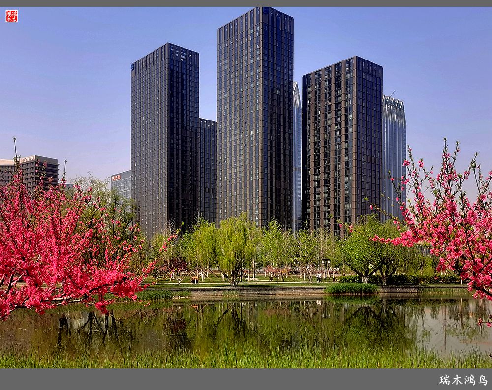 【说古话今大运河】西海子春色