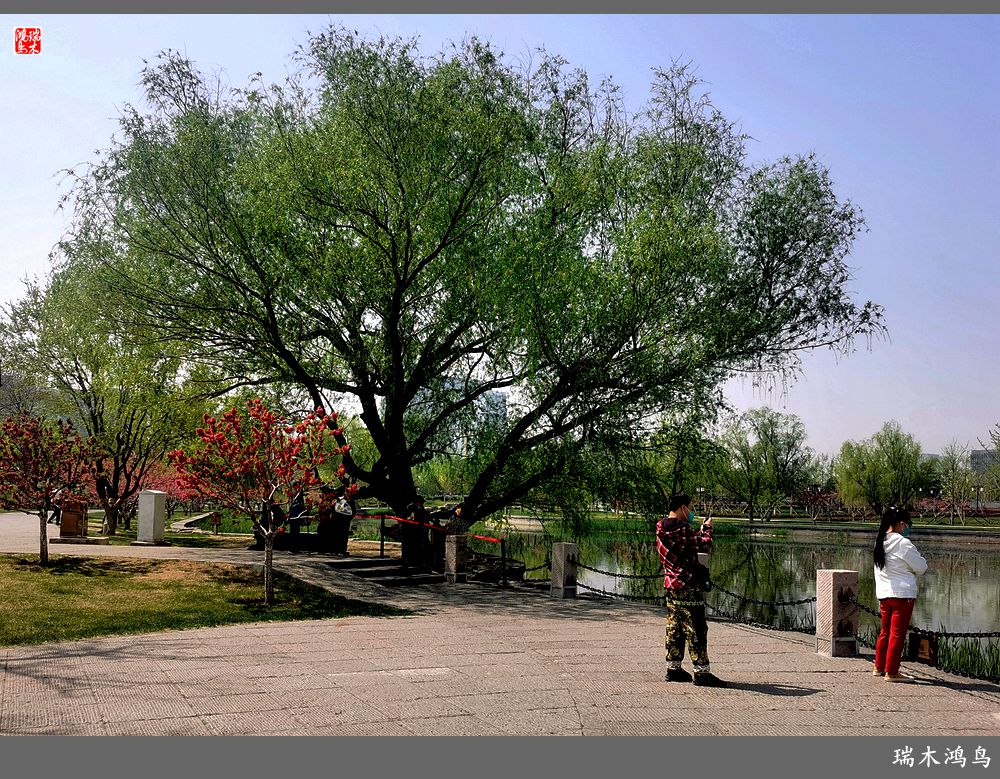 【说古话今大运河】西海子春色