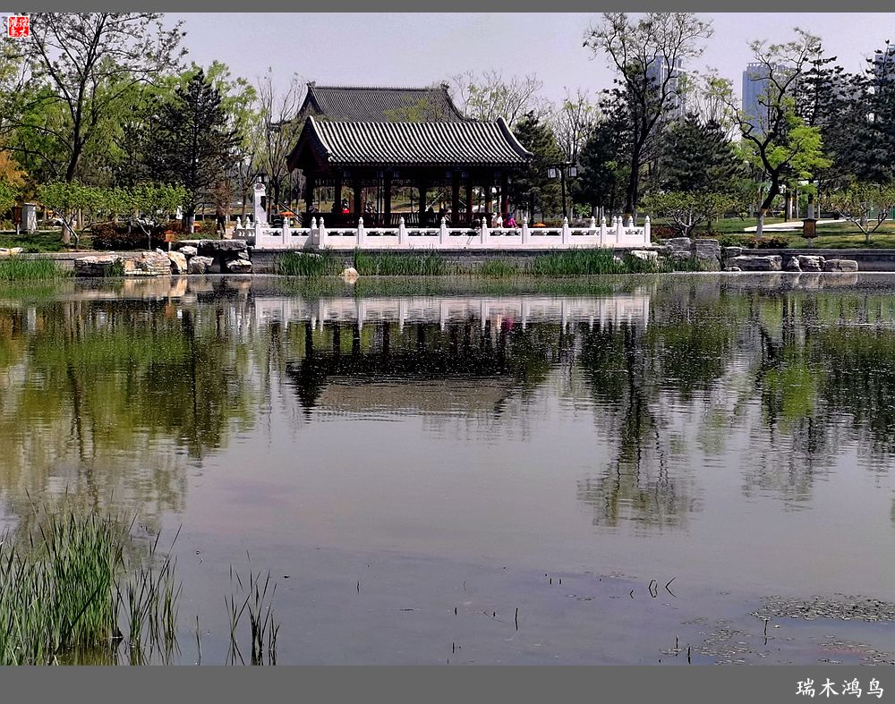 【说古话今大运河】西海子春色