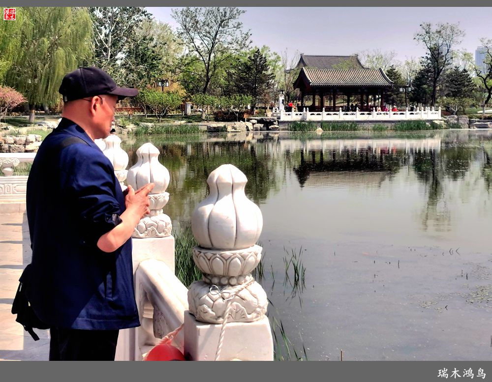 【说古话今大运河】西海子春色