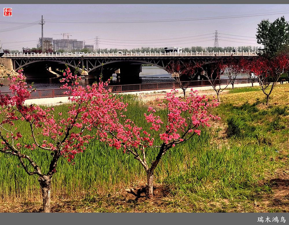 【说古话今大运河】西海子春色