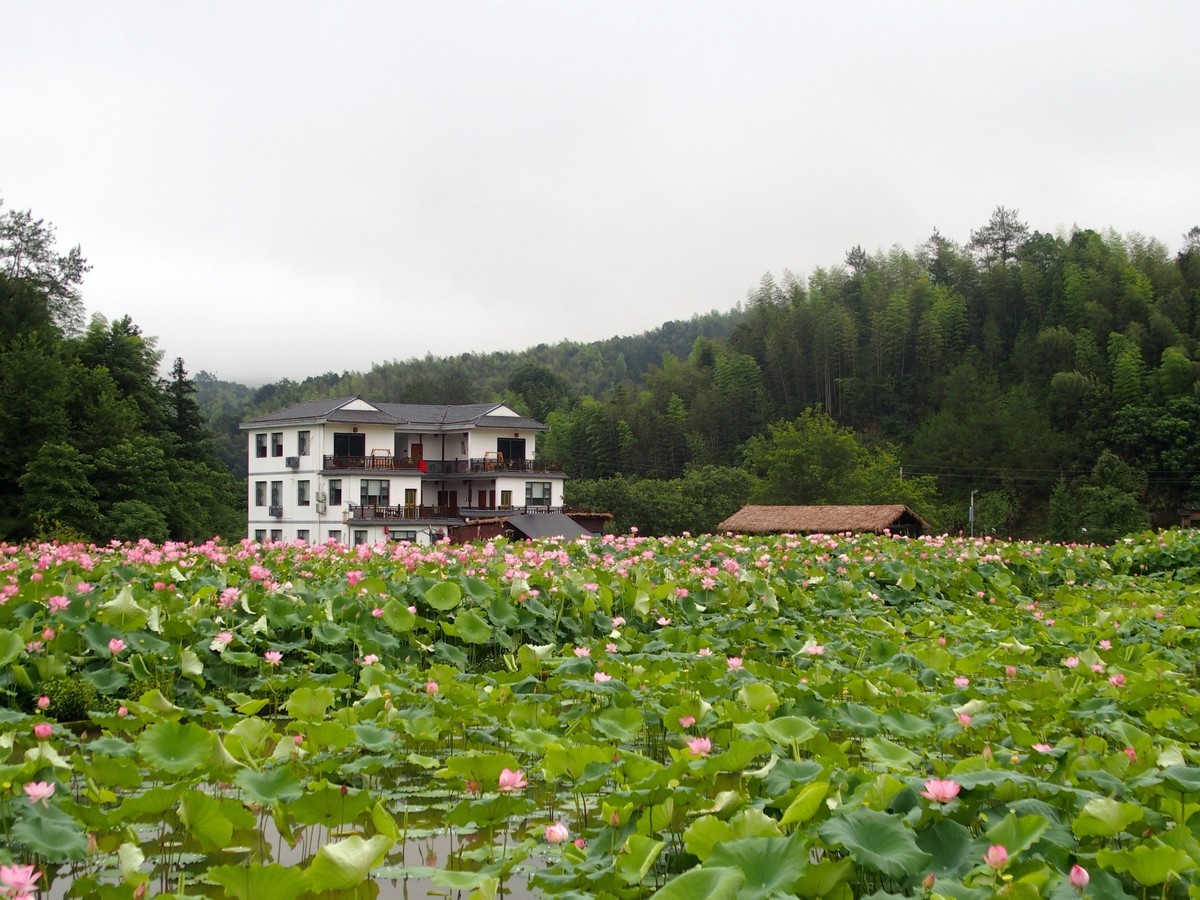 奥林巴斯STYLUS 1（卡片机风景）