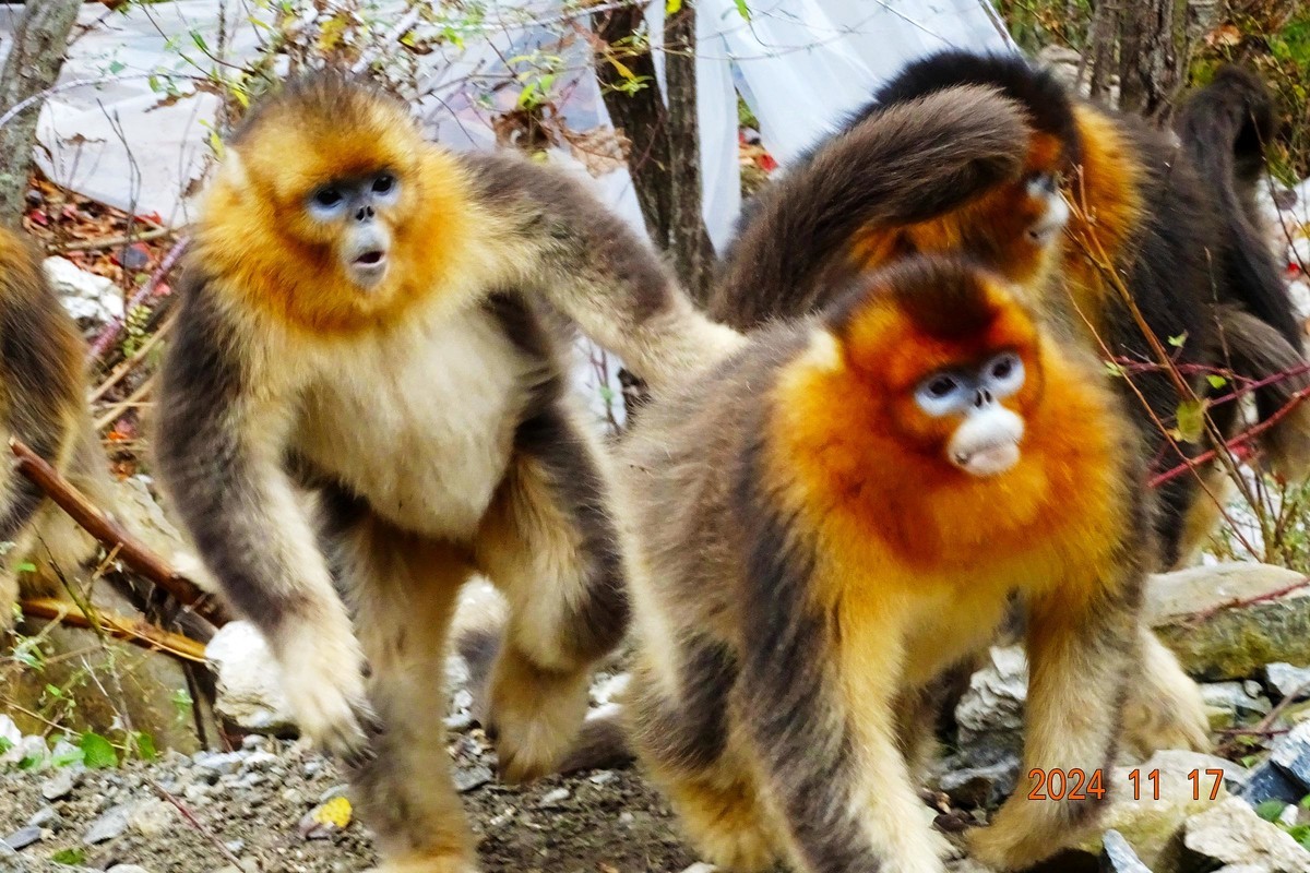 白河文明用语自然保护区