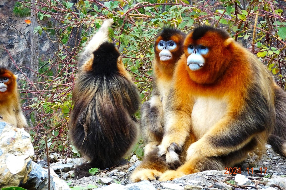 白河文明用语自然保护区