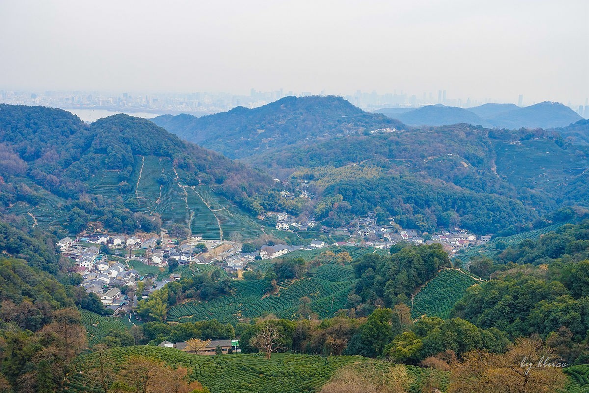 十里琅珰观茶园