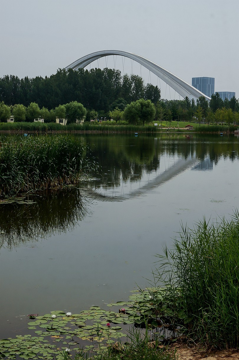 北京未来科学城滨水公园小景